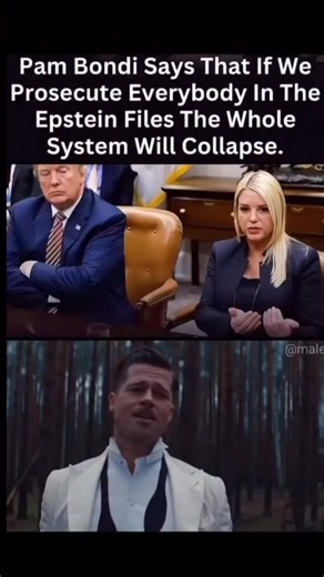 CAT POWER | 🎉🎉🎉 | Instagram