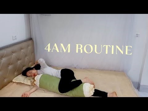 Living Alone in the Mountains of Vietnam | My 4AM Work Routine & Peaceful Life With My Dog