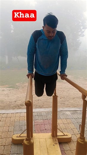 parallel bar workout beginner parallel bar workout exercises for parallel bars #shorts #funny