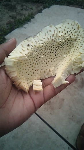 roasted breadfruit