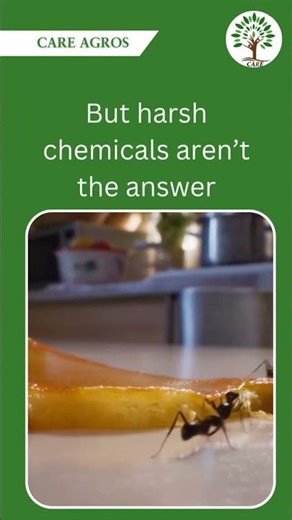 Institutions require safety. #careagros #pestcontrol