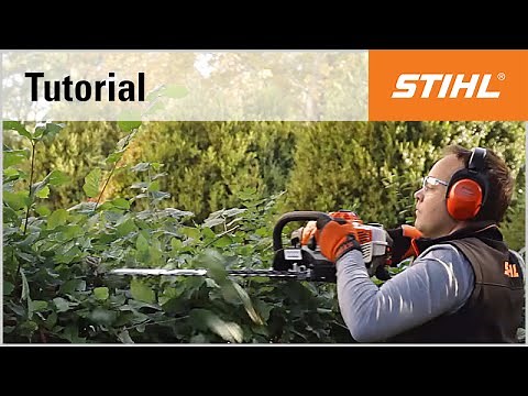Petrol hedge trimmer cutting technique: pruning with the STIHL HS 81 R