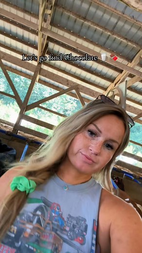 Video #farmlife #draft #silage #farmersdaughter #baleage #maine #grass | Trashae Robertson