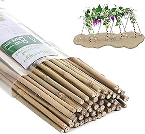 Plant Bamboo Post,5Feet,Bamboo Garden Stakes,50PcsBamboo Stakes,for Tomato,Beans,Vegetable and Flowers, Potted Plants,Indoor and Outdoor Climbing Plants