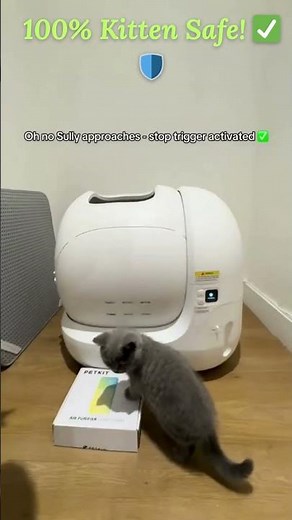 Safety First! 🛡️ Viral PETKIT Self Cleaning Litter Box 🐾