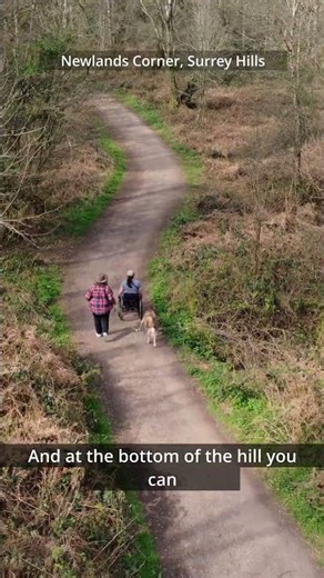 Accessible Trails: Newlands Corner