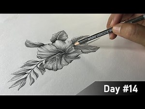 Free Hand Flower Drawing || Drawing for Beginners - Day 14 || 100 Days Challenge