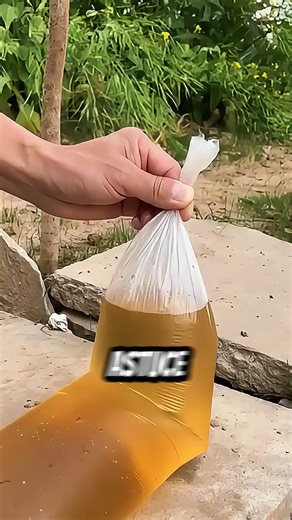 173K views · 406 reactions | Sceller un sac liquide avec un simple bouchon ? Astuce géniale à tester ! #astuce #diy #pratique | Les piliers de comptoir V2 | Facebook