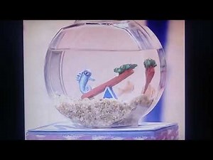 Elmo's World Dorothy's Up & Down Question