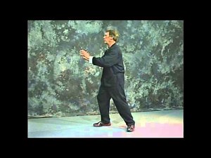 Yang Style Short (34 Move) Form Master Class - Lesson 2 of 8