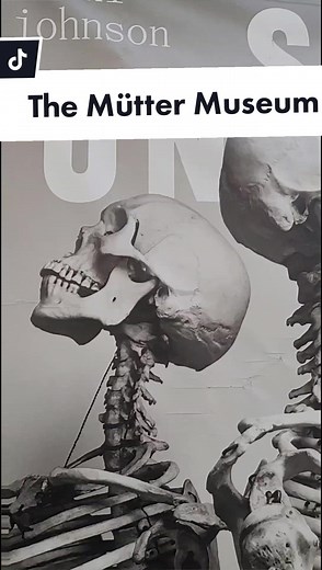 Exploring the Morbidly Curious World of the Mutter Museum