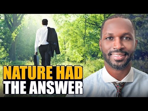 How Great Leaders Solve Problems by Studying Nature