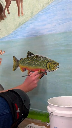 Oso Studio ✶ Claire on Instagram: "A brook trout for my brother and sister-in-law’s Northern Michigan themed nursery mural! What an honor! This guy is joining a scene on a peaceful river, waiting for the next fly fisherman to come around ;) Learned some cool facts about brookies from my brother while painting too - ✶ The brook trout is Michigan’s state fish! ✶ Brook trout and lake trout are the only native trout to Michigan! ✶ Brook trout are actually scientifically char but are more commonly kn