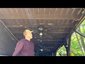 Ceiling Fan Destruction #37