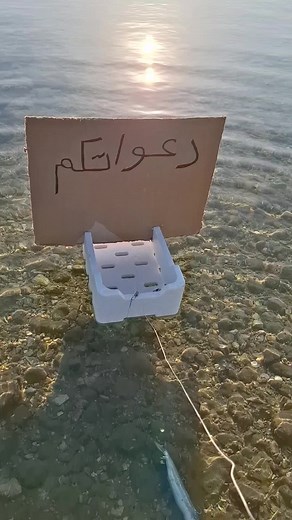 صيد السمك بالارسالية في الخبر