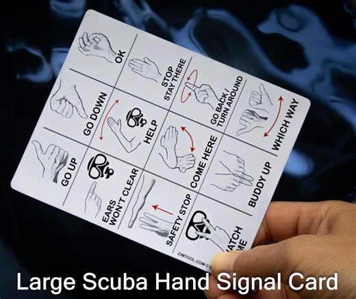 Submersible Scuba Diving Hand Signal Cheat Sheet Cards W/ Personalization Option - Etsy