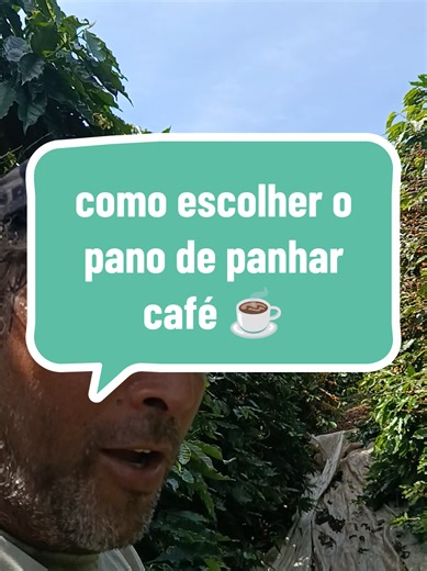 como deve ser o pano de panhar café #pano #escorregador @silvioTuelher do agro @ivancarlos24270