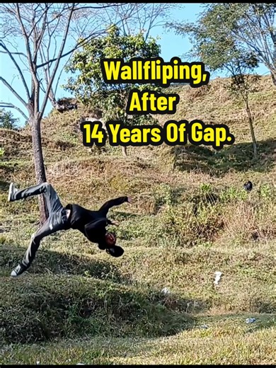 Wallfliping: A Comeback After 14 Years