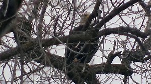 21K views · 2.3K reactions | Our eagle-eyed camera operators and fans...