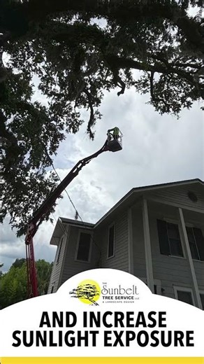 Winterize Your Trees