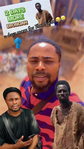 Noah Movie Highlights: Fun Moments and Iconic Scenes