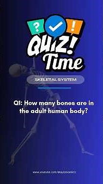 Can You Name That Bone? 🦴 | Skeletal System Quiz Challenge!