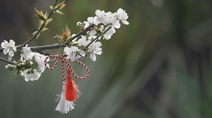 Traditional Romanian Martisor in a blossom tree