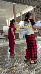 Trò chơi gà đẻ trứng vui nhộn hấp dẫn #mytao | My Tạo
