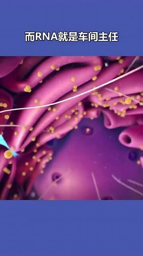 DNA和RNA病毒有什么不同？用简单的方式介绍给你，还不快来上课