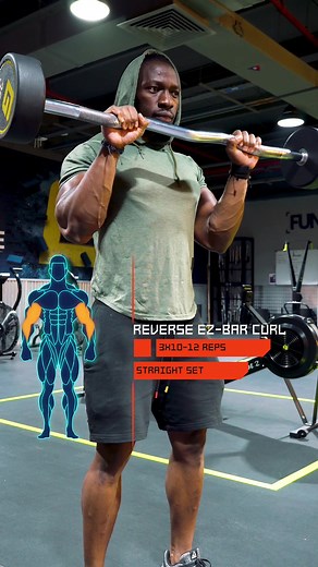 EZ Bar Reverse Curl: Brachioradialis Workout Guide