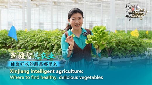 When you think of agriculture, do you still picture farmers bent over fields with traditional tools? In the intelligent glass greenhouse in the #Xinjiang Uygur Autonomous Region, northwest China, they create "forests of fruits and vegetables" on arid land. | CGTN