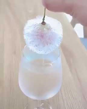 Submerging The Frozen Grape Into The Chilled Water!