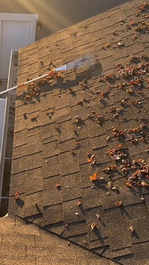 1.5K views | This is your sign to STOP using a ladder to clean your...