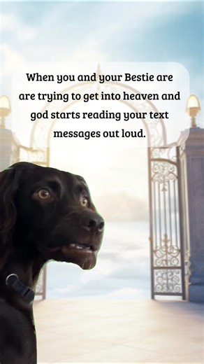 103K views · 1.7K reactions | #reelsviralシfb #funnyvideos #funnyreels #bestfriends #explorereels #funny #fypviralシ #friends #bestfriendsforever | Quotes And more | Facebook