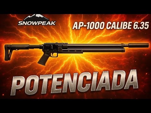 AP1000- Ajustes internos-