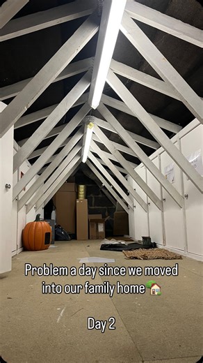 Luke & Nikki on Instagram: "Problem a day since we moved in Day 2🏡 Boarding out the loft so I can store Christmas decorations 🎄 Inspired by my best friend’s loft. Waste of money? Maybe. Will you see it? No. Will I force you up there when you visit? Absolutely! #houserenovations #fyp #loft #storage #renovation"
