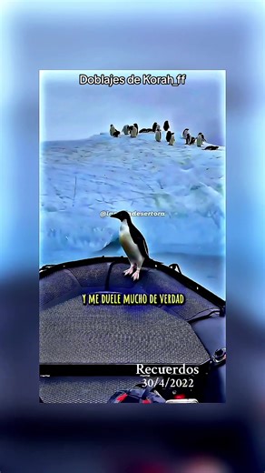 Doblaje de Korah: José Luis y su divertido aventón