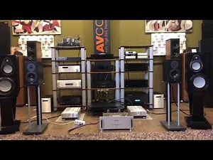 Dynaudio Contour 1.1
