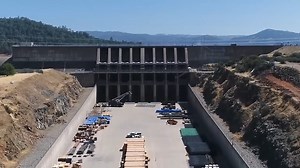 The 3 times humans pushed species to the brink of disappearing