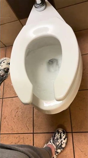 POWERFUL 2010’s Kohler Highline Toilet Flushing!