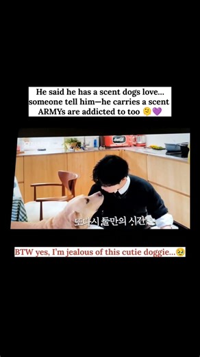 He said dogs like his scent… ARMYs be like SAME 😭🐶 #kimtaehyung #taehyungedit #btsv #cutemoment #bts