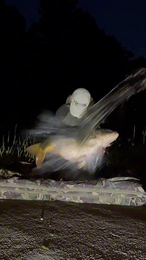 💥NIEUW RECORD💥 #carpfishing#angling #carp #kordaofficial | Sven Boon Fishing