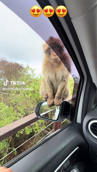 Back to the office #everyone #funnyvideos😂 #foryoupage❤️❤️