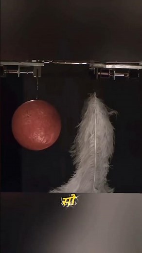 gravity experiment Galileo vacuum experiment socked the world #physics #gravity #experiment #science