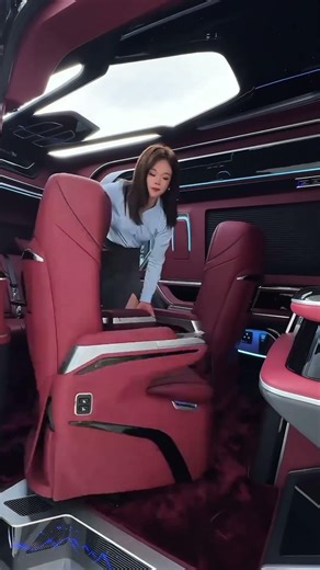 Mercedes-Benz Sprinter luxury business van