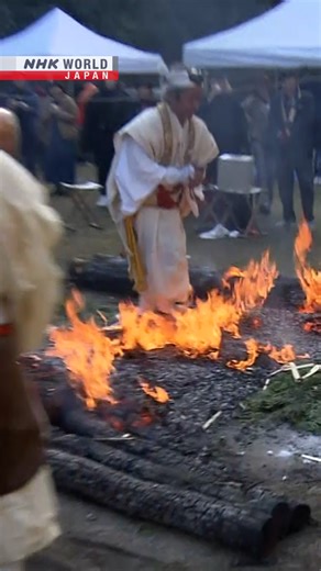 NHK WORLD-JAPAN on Reels