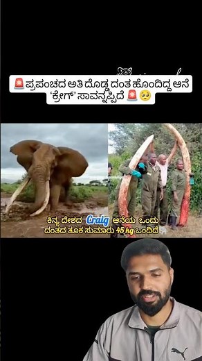 Craig the Giant Tusker The Elephant with the World’s Biggest Tusks | #shorts #elephant #wildlife