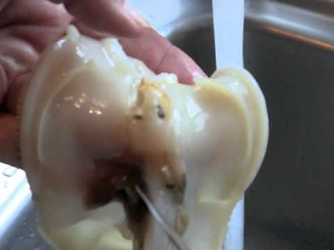 Cleaning Razor Clams