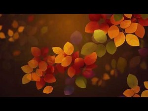 Dreamy Autumn Falling Leaves Loop 4K - Vibrant Colorful Foliage Golden Bokeh | Free No Copyright