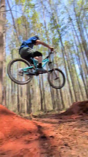 I built a back yard MTB jump track